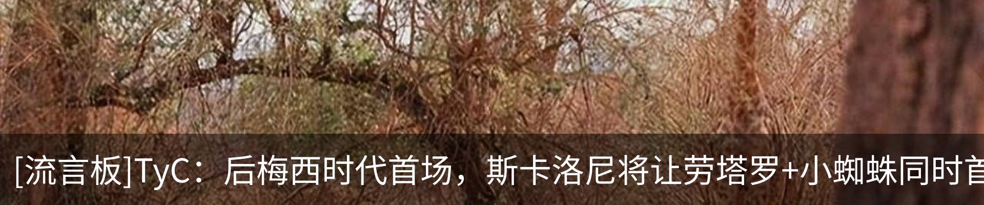 热点资讯